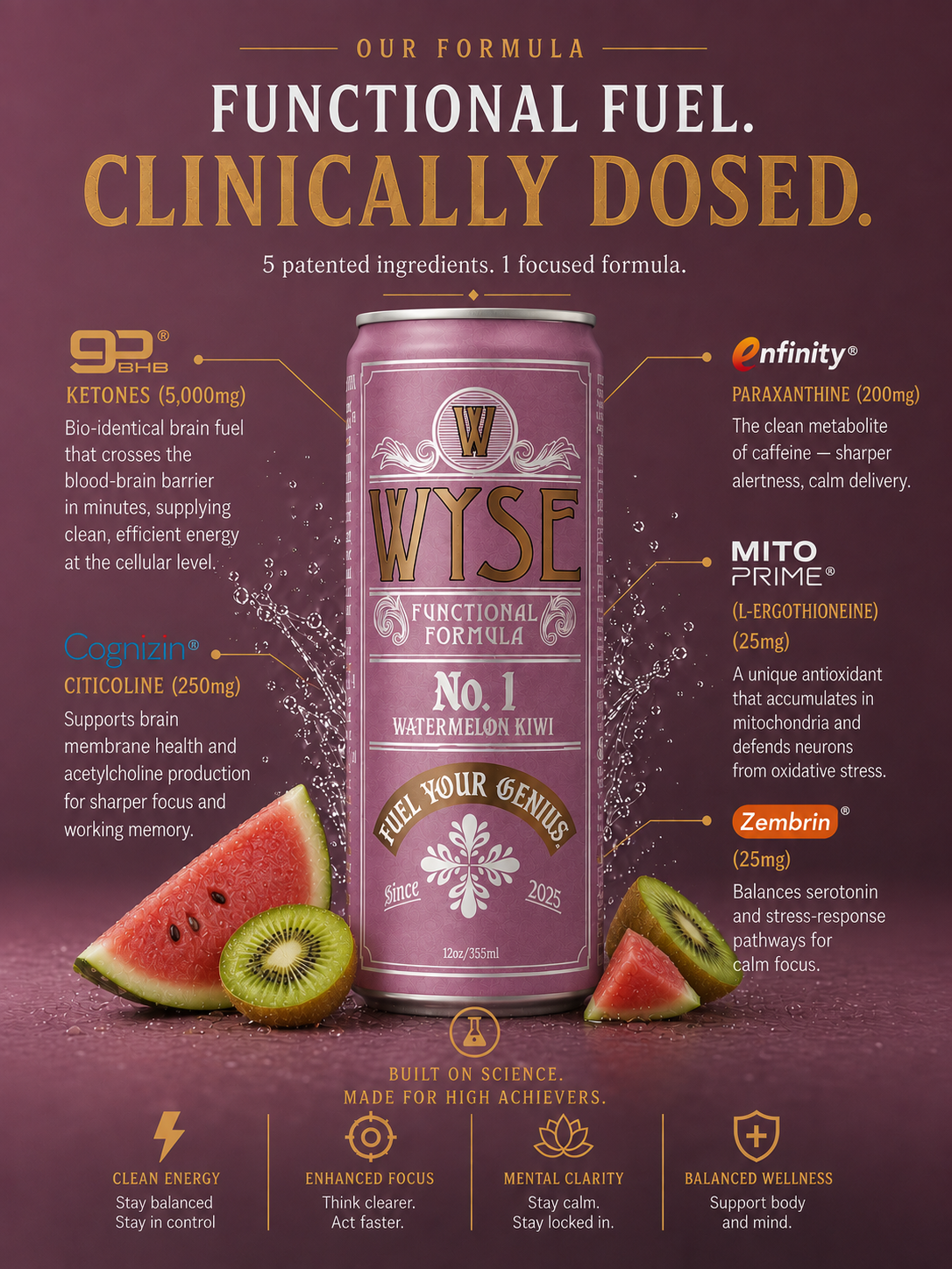 Wyse Founders Blend Watermelon Kiwi - 12oz Nootropic Cans