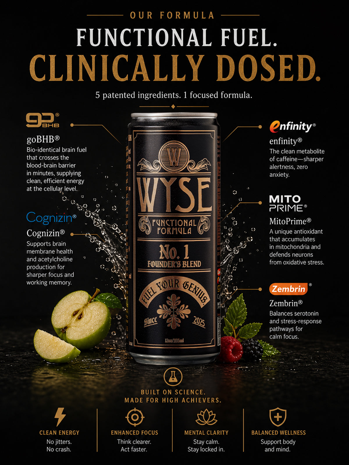 Wyse Can Flavor Bundle - Founder's Blend & Watermelon Kiwi - 12oz Nootropic Cans