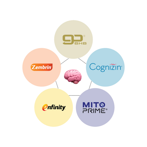 What's In Wyse | goBHB, Cognizin + Paraxanthine – Drink Wyse